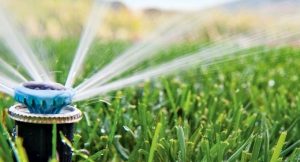 Quali irrigatori da giardino scegliere tra popup statici e dinamici