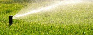 Riciclo dell’acqua e irrigazione del giardino per una ristrutturazione green