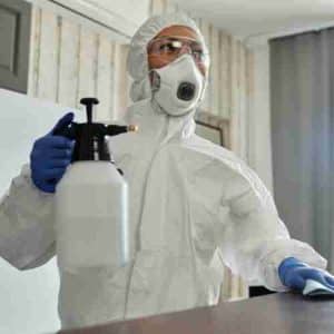 Disinfestazione blatte: prezzi e preventivi online