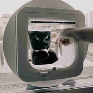 Gattaiola: prezzi e preventivi online