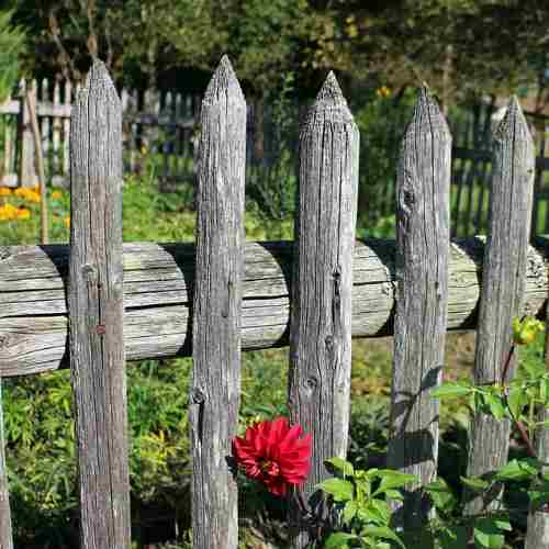 Staccionata in legno, più di un elemento di confine: un elemento decorativo dal carattere rustico.