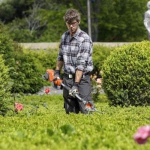 Creazione giardino: prezzi e preventivi online