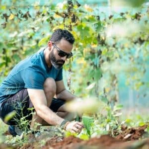 Giardinaggio: prezzi e preventivi online