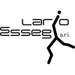logo_LARIO ESSEGI SRL