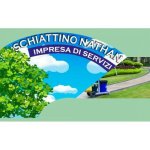 logo_SCHIATTINO NATHAN