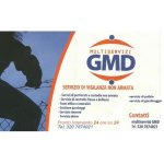 logo_Multiservizi GMD