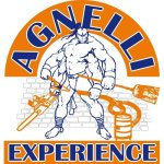logo_AGNELLI EXPERIENCE