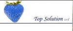 logo_TOP SOLUTION SRL
