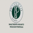 logo_Piccolillo Sas