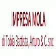 logo_Impresa Mola Di Tobia Battista, arturo & C. snc