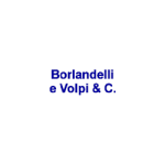 logo_Borlandelli E Volpi