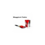 logo_Imbiancature Maggioni