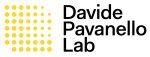 logo_Davide Pavanello Lab